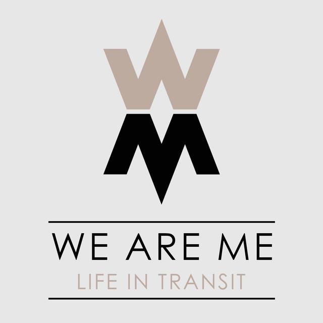 Album cover art for Life In Transit