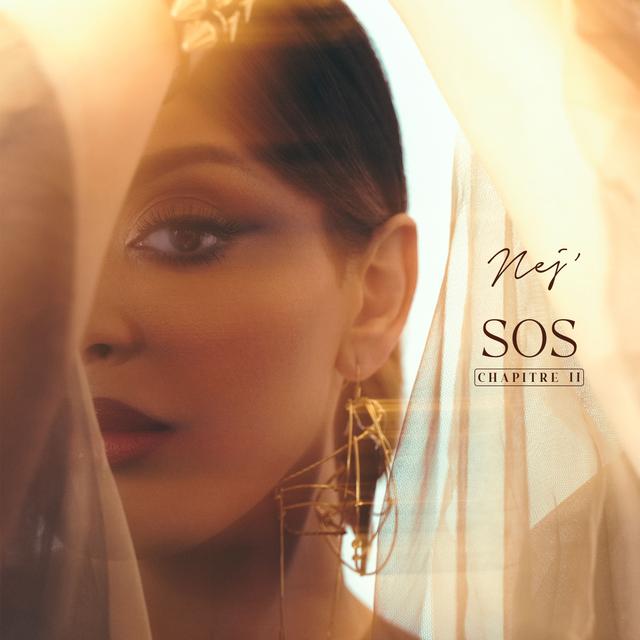 Album cover art for SOS (Chapitre 2)