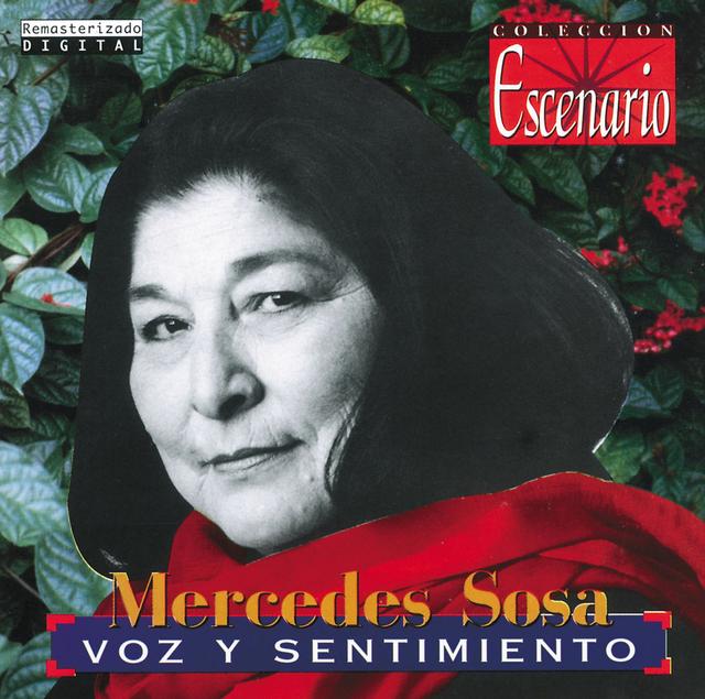 Album cover art for Voz y Sentimiento