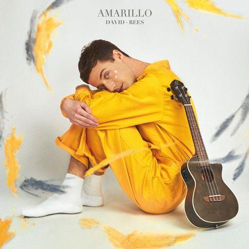 Album cover art for Amarillo