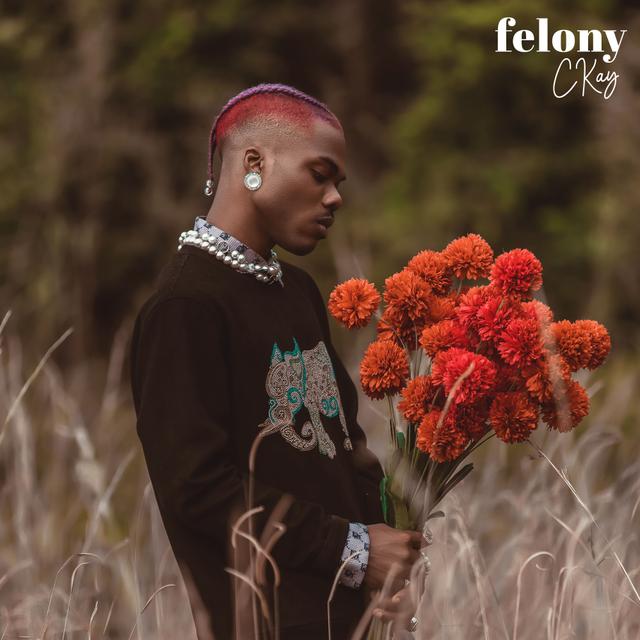 Album cover art for Felony