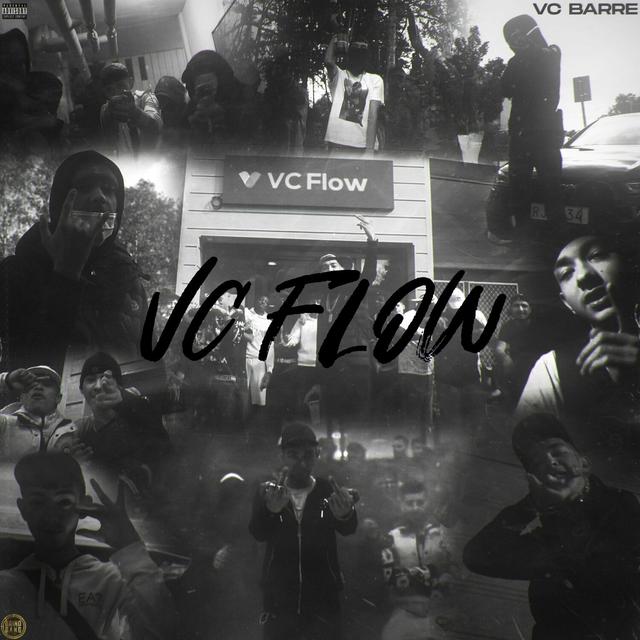 Album cover art for VCFlow