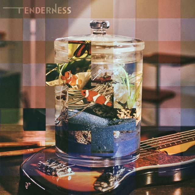 Album cover art for Tenderness