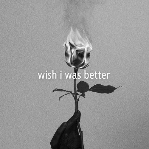 Album cover art for Wish I Was Better