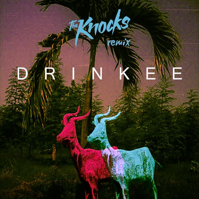 Album cover art for Drinkee