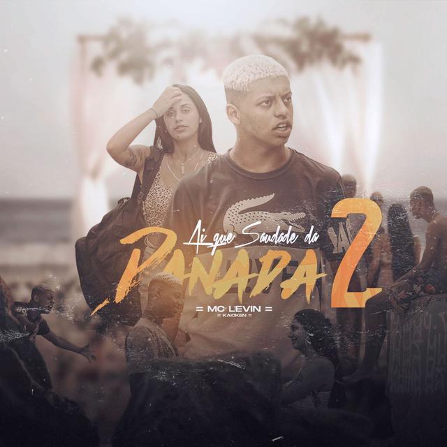 Album cover art for Ai Que Saudade da Danada 2