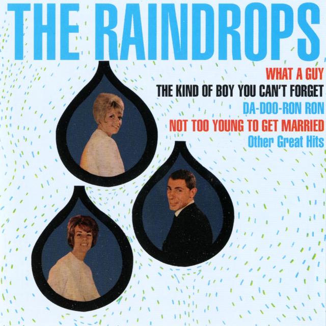 Album cover art for The Raindrops [Digital Version]