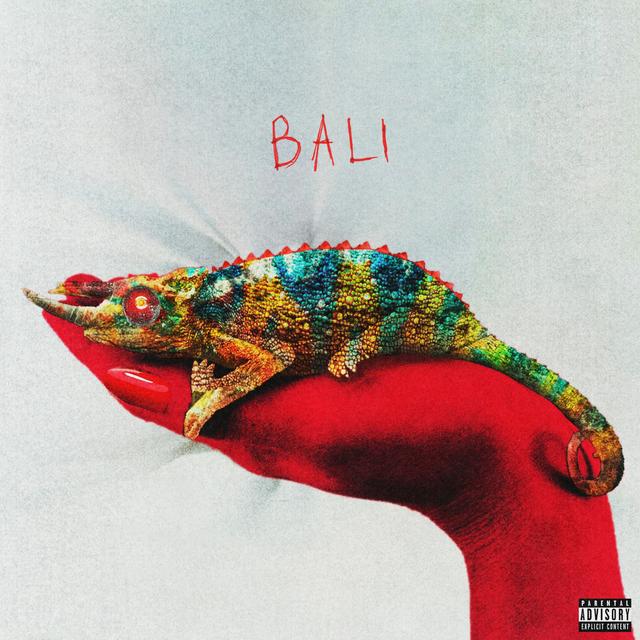 Album cover art for BALI