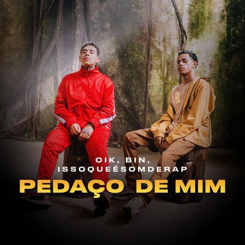 Album cover art for Pedaço de Mim