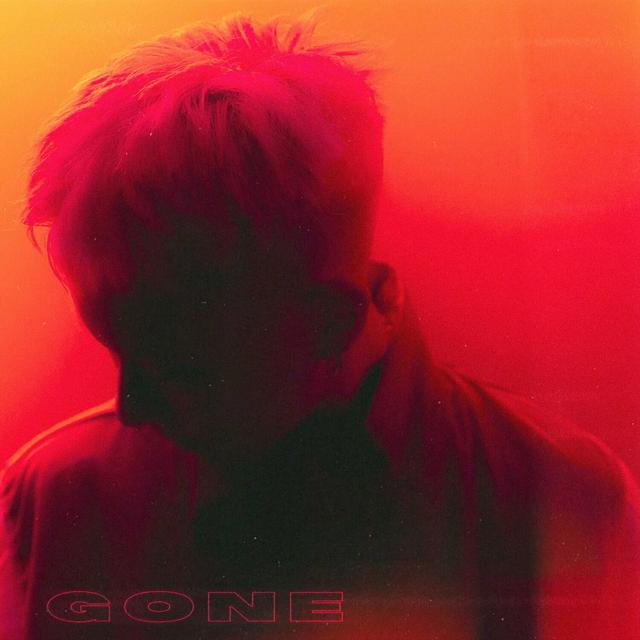 Album cover art for Gone