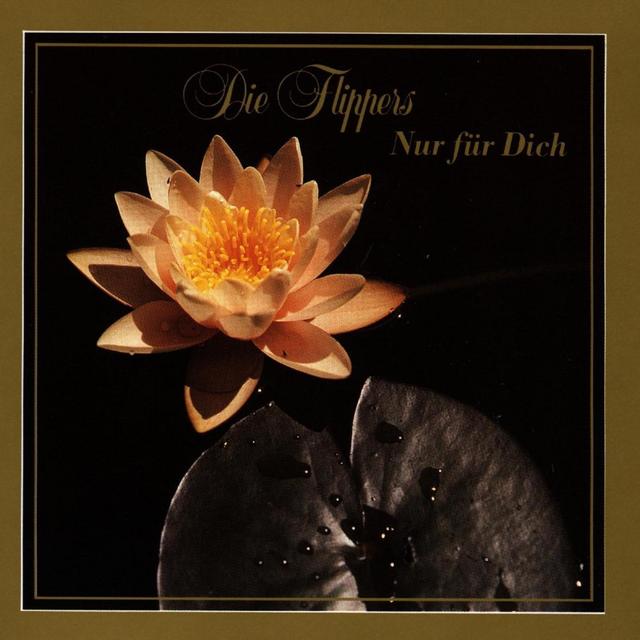 Album cover art for Nur Für Dich