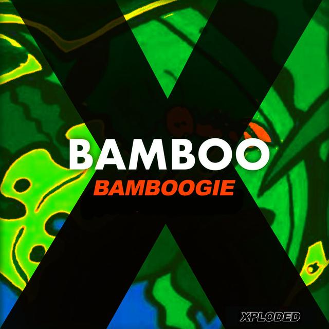 Album cover art for Bamboogie