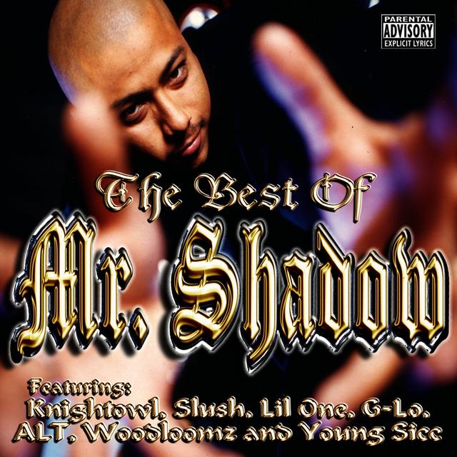 Album cover art for The Best Of Mr. Shadow