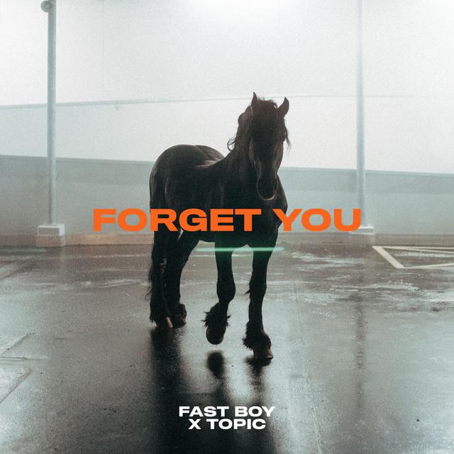 Album cover art for Forget You