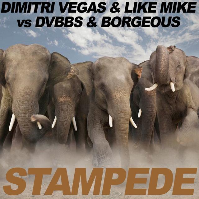 Album cover art for Stampede