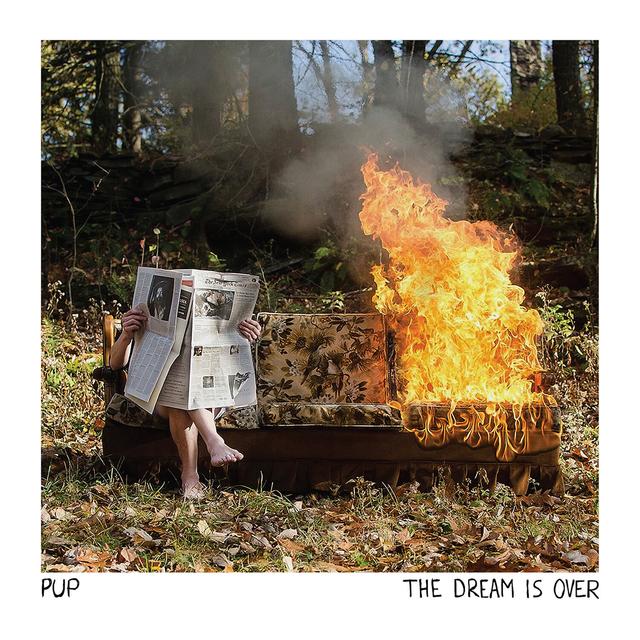 Album cover art for The Dream Is Over