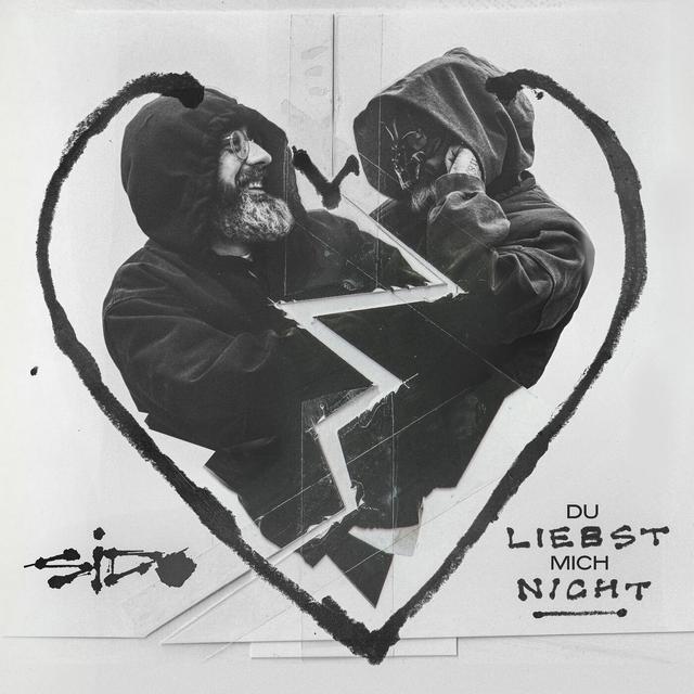 Album cover art for Du liebst mich nicht