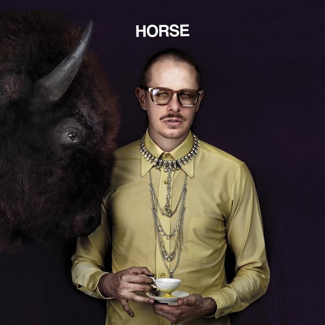 Album cover art for Horse