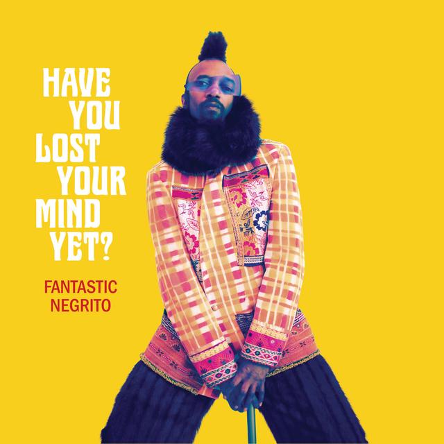 Album cover art for Have You Lost Your Mind yet?