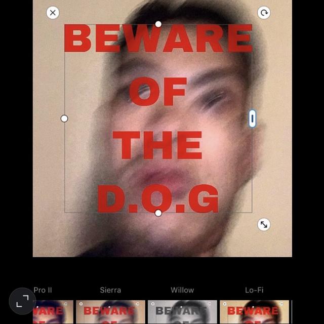 Album cover art for BEWARE OF THE D.O.G