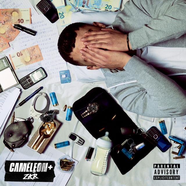 Album cover art for Caméléon +