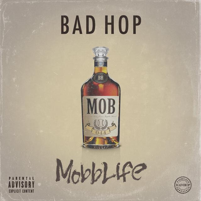 Album cover art for Mobb Life