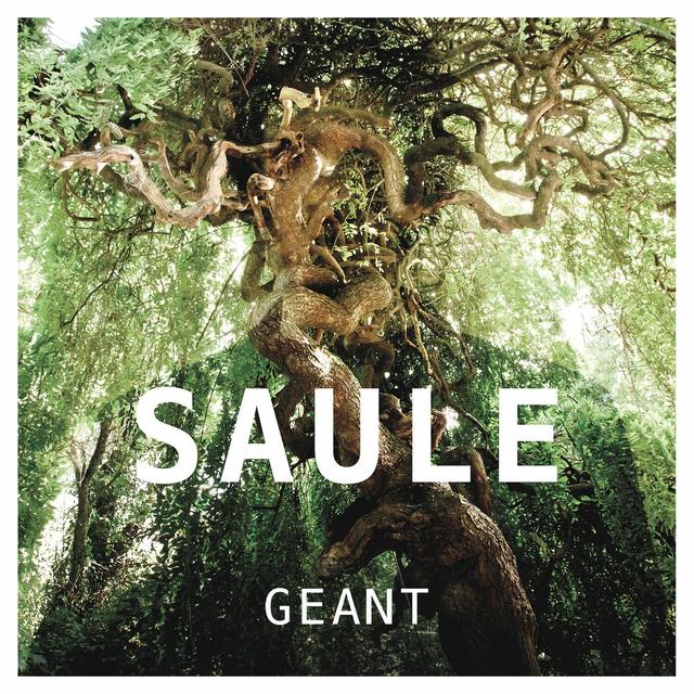 Album cover art for Géant