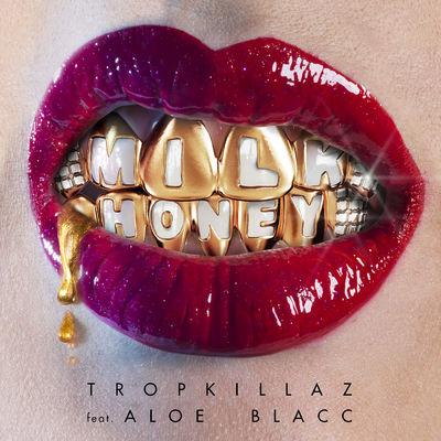 Album cover art for Milk & Honey