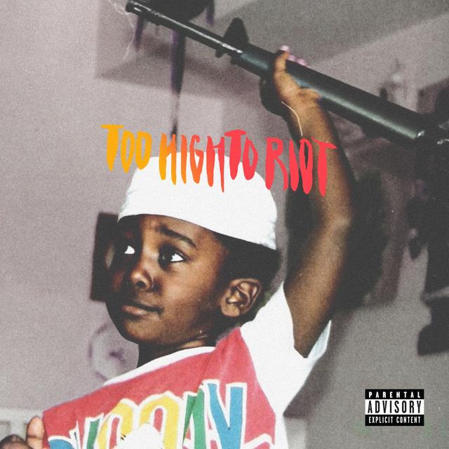 Album cover art for Too High to Riot