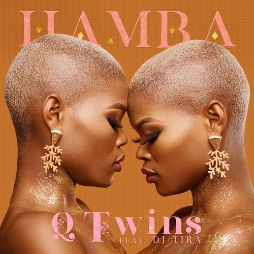 Album cover art for Hamba