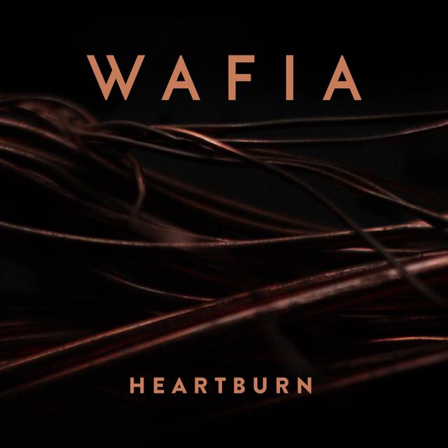 Album cover art for Heartburn