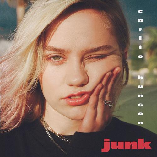 Album cover art for Junk