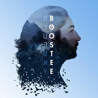 Album cover art for Bluesky