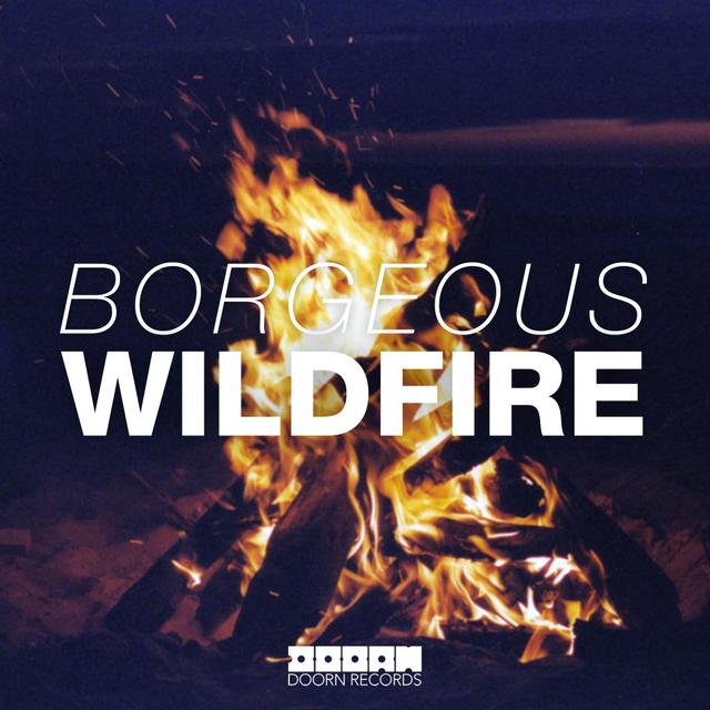 Album cover art for Wildfire