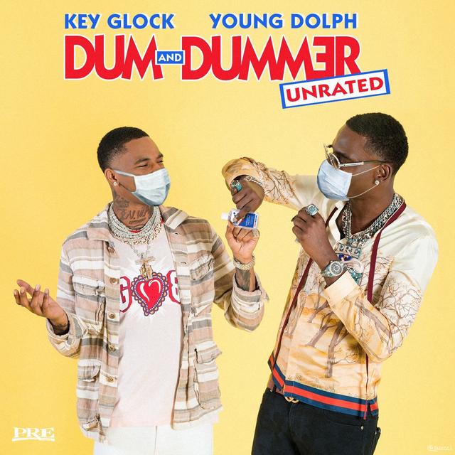 Album cover art for Dum and Dummer