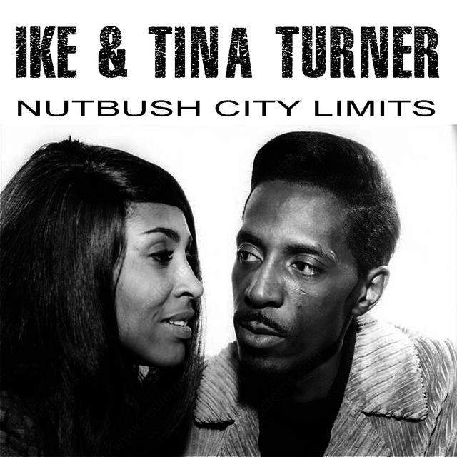 Album cover art for Nutbush City Limits