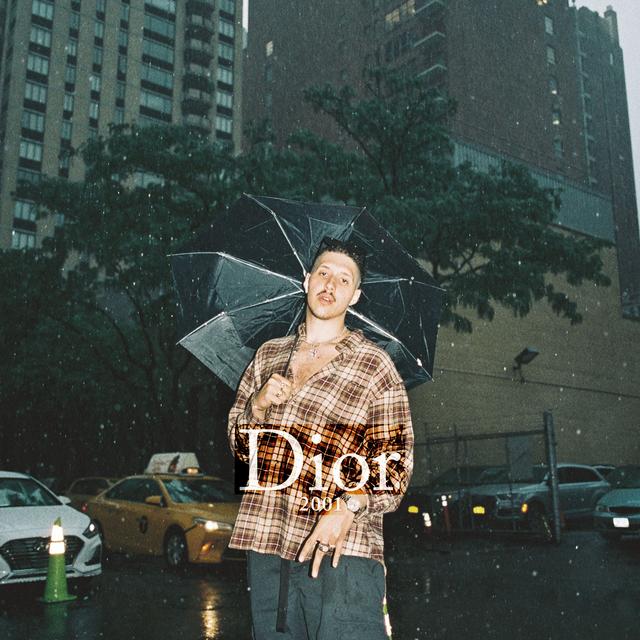 Album cover art for Dior 2001