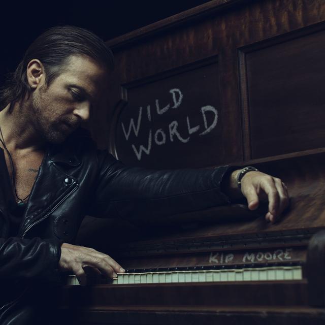 Album cover art for Wild World