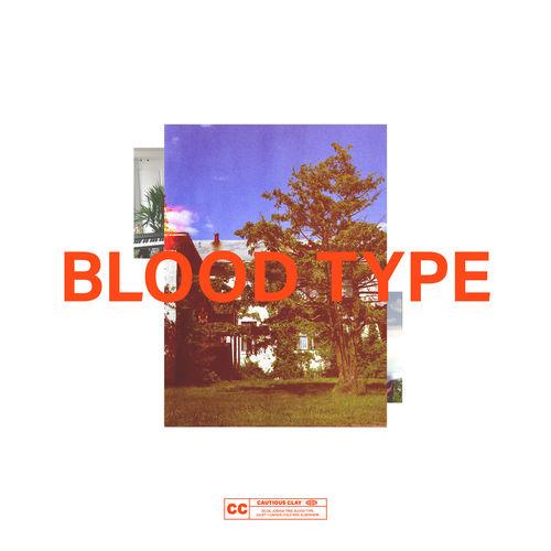 Album cover art for Blood Type