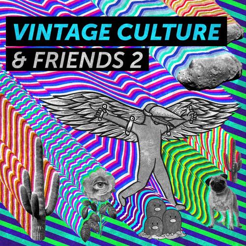 Album cover art for Vintage Culture & Friends 2