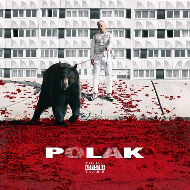 Album cover art for Polak