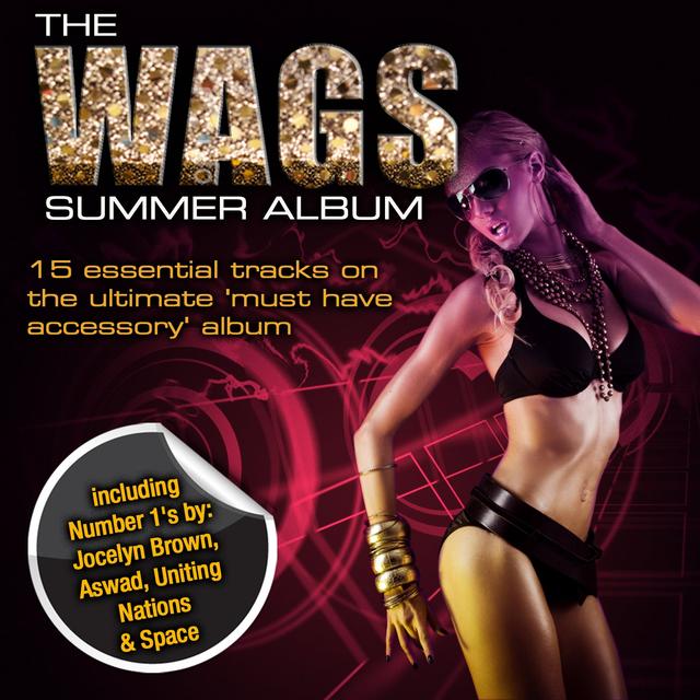 Album cover art for The Wags Summer Album