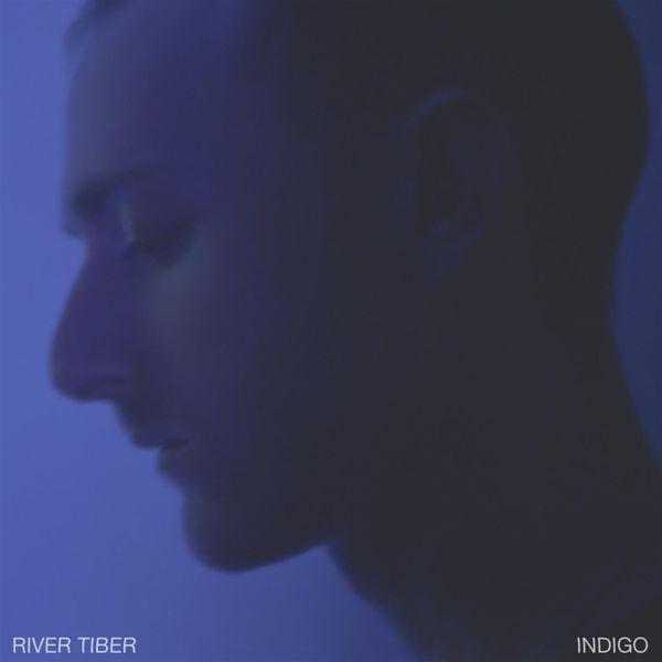 Album cover art for Indigo