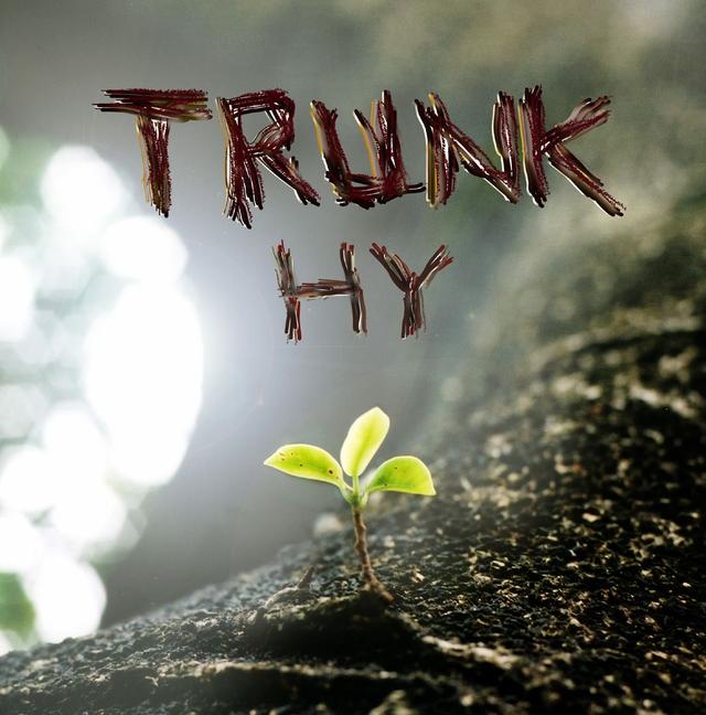 Album cover art for TRUNK