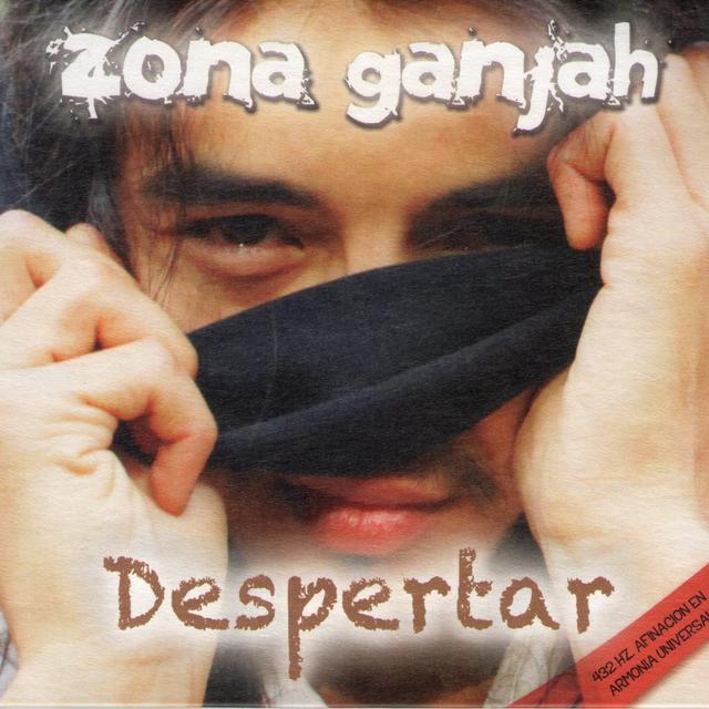 Album cover art for Despertar