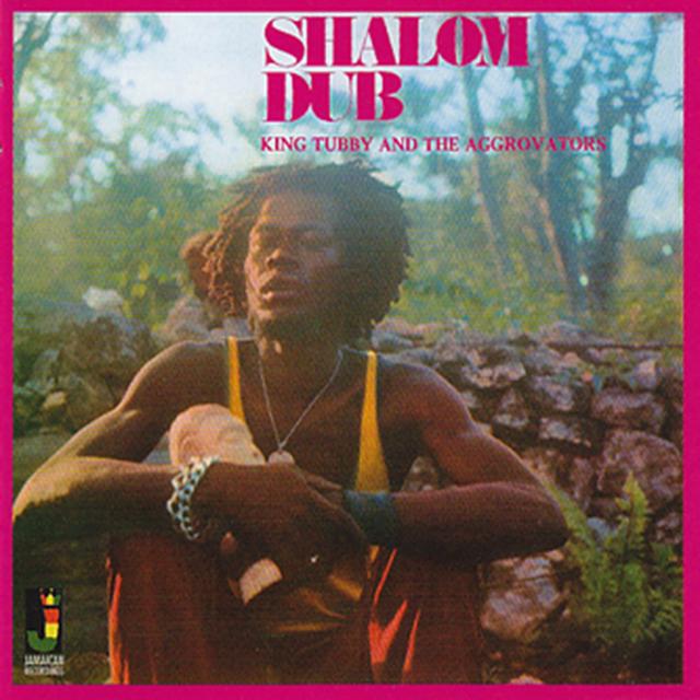 Album cover art for Shalom Dub