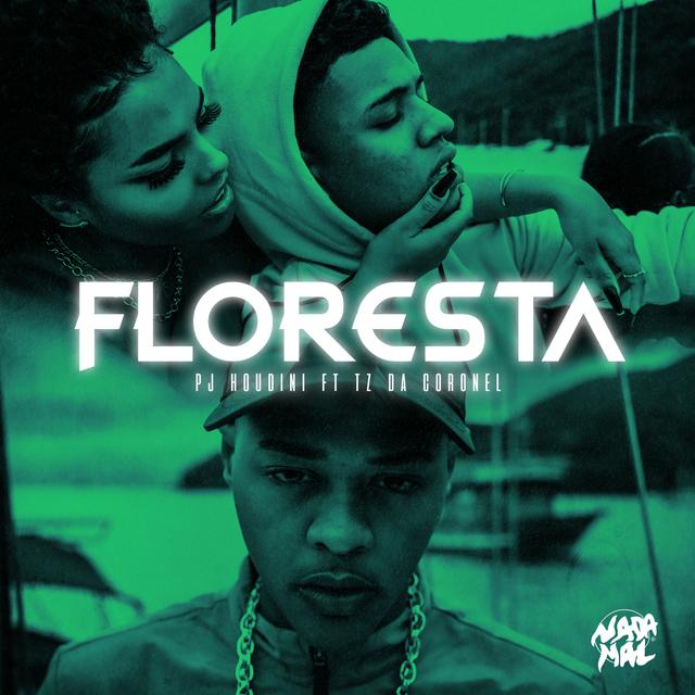 Album cover art for Floresta