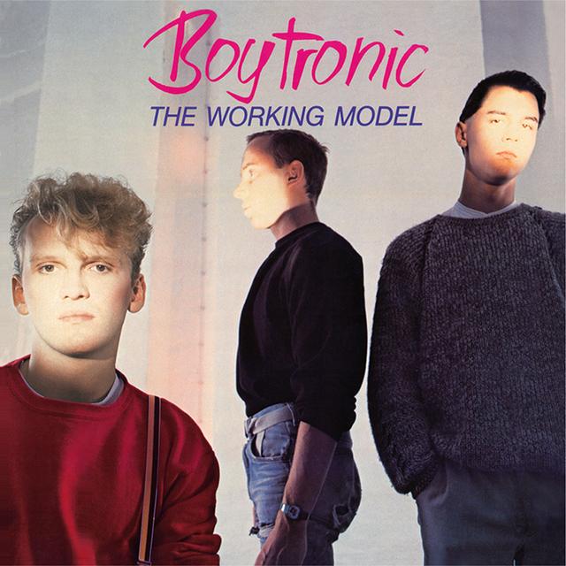 Album cover art for The Working Model