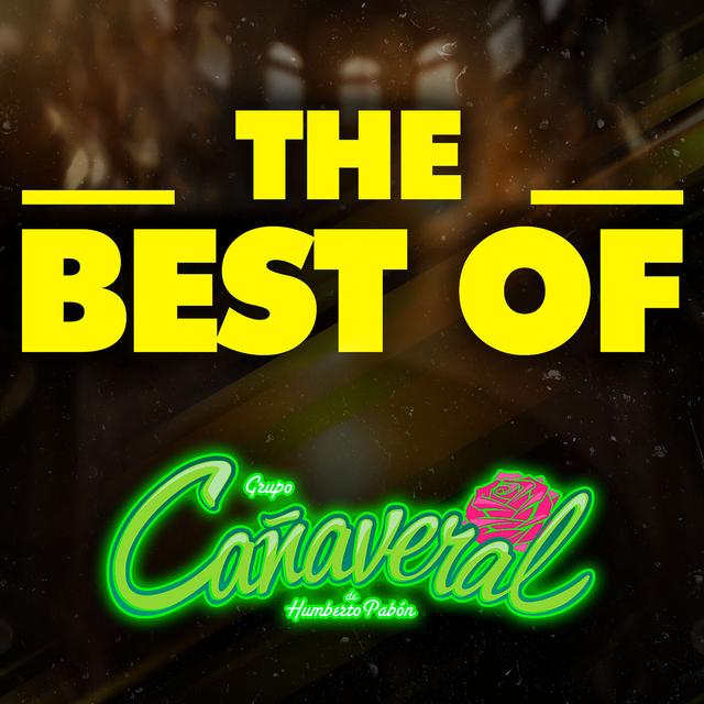 Album cover art for THE BEST OF