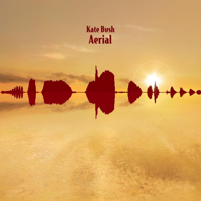 Album cover art for Aerial